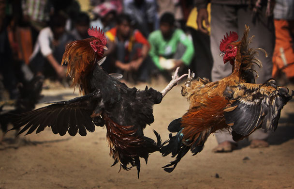 Δύο νεκροί δεκάδες τραυματίες