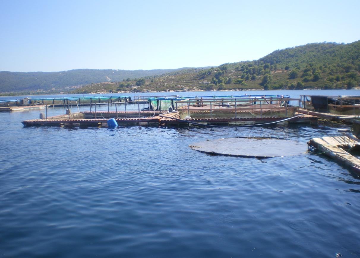 Τραγικό τέλος για 24χρονο