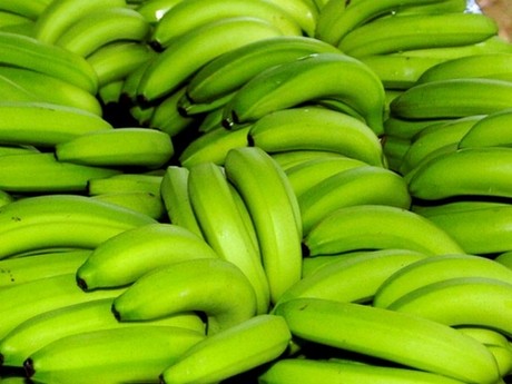 Τι έκρυβαν οι μπανάνες;
