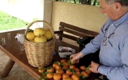 Χαρίζει 20 τόνους φρούτα