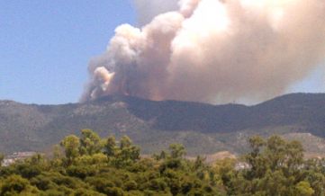 Καήκαν 500 τ.μ. δάσους