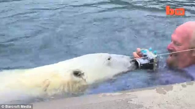 Παρέα με μία αρκούδα