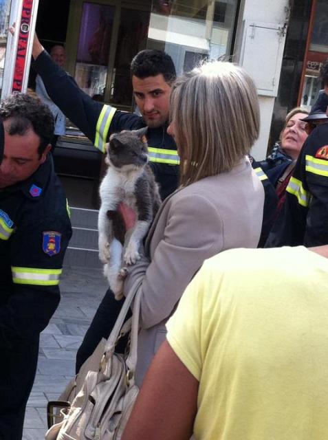 Έμεινε στο δέντρο 5 ημέρες