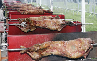 Φθηνός οβελίας στον Έβρο