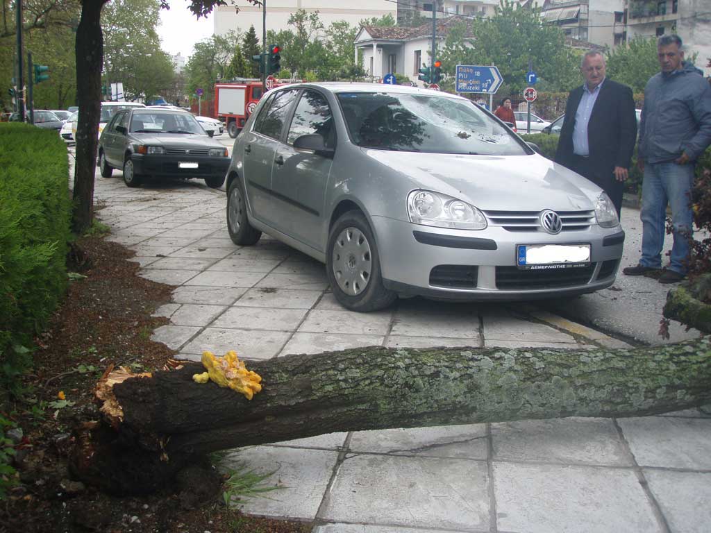 Δέντρο έπεσε σε αυτοκίνητο