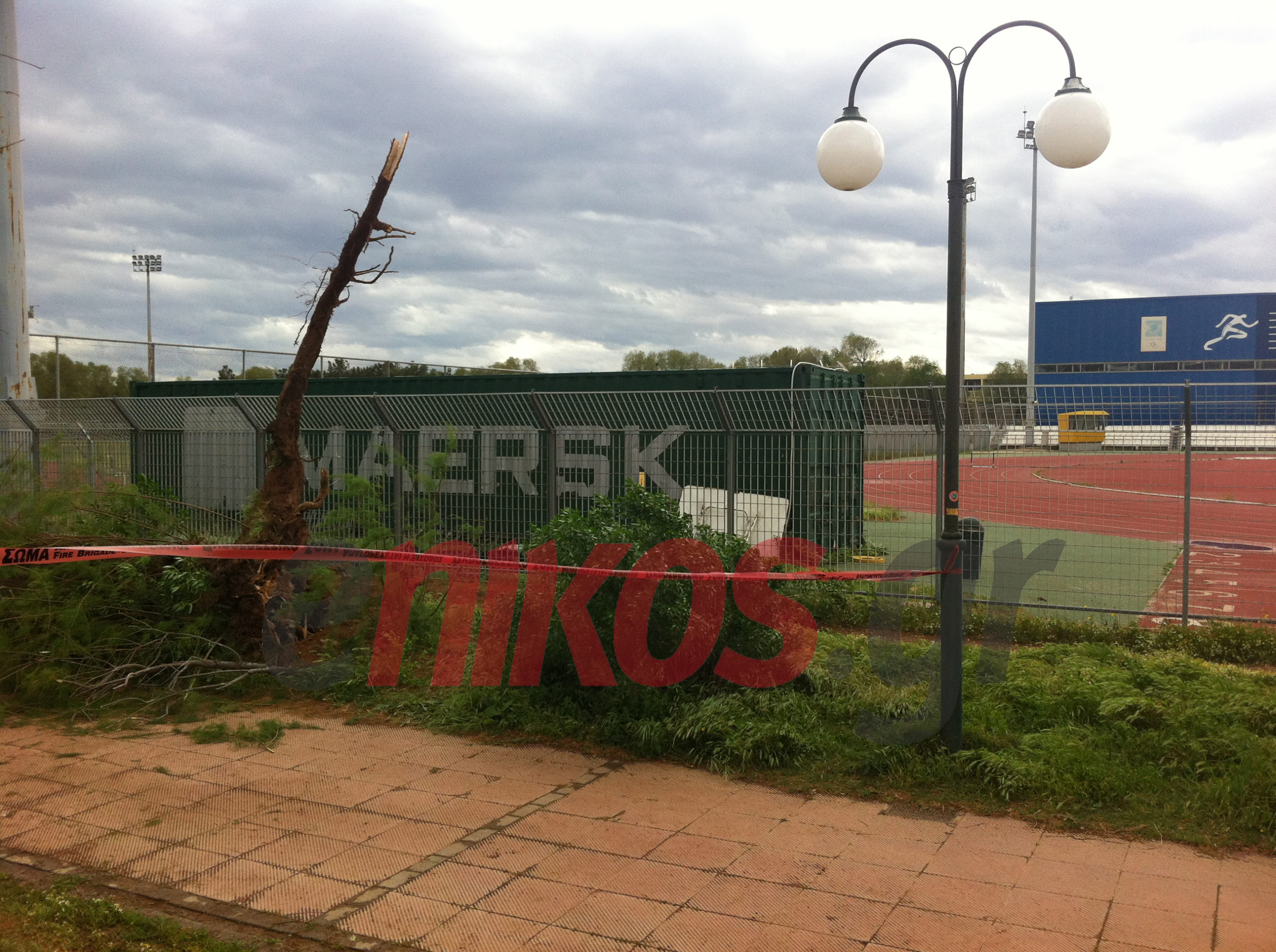 Την καταπλάκωσαν κορμοί δέντρων