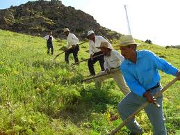 Ζεστό χρήμα για αγρότες