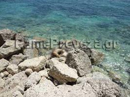 Μυστήριο με το πτώμα στην Πρέβεζα