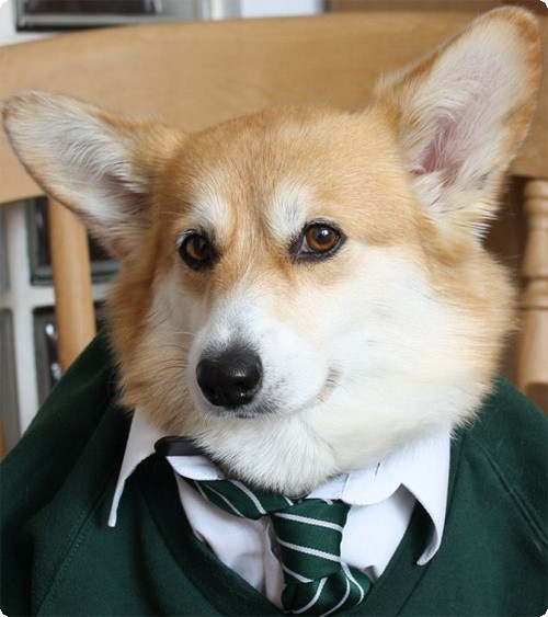 Μια συγκινητική ιστορία…