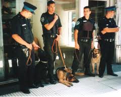 Αποσόβησαν εγκληματική ενέργεια