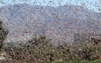 Τι έγινε ρε παιδιά;