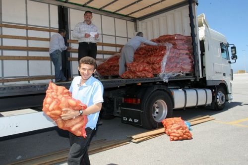 Θα γίνει της… πατάτας στο Λασίθι