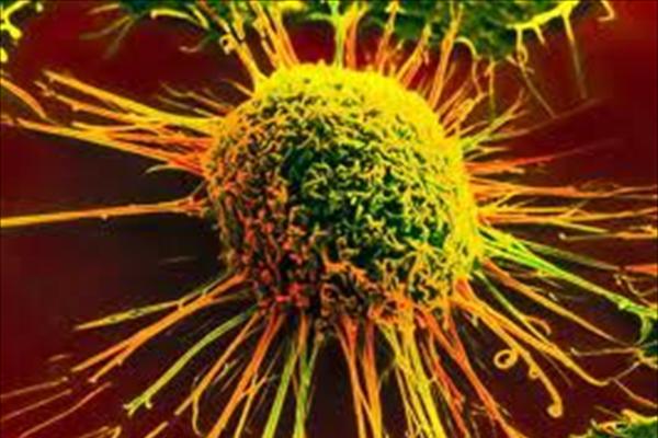 Ιός κατά του καρκίνου