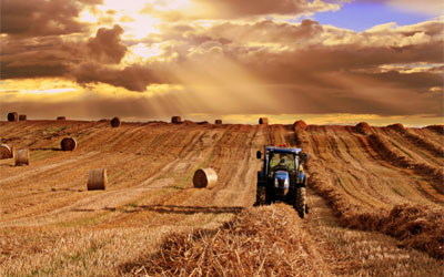 «Έφυγε» στο χωράφι του