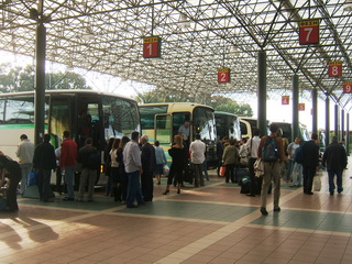 ΚΤΕΛ στον Ελαιώνα