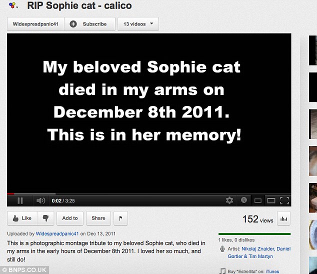 Αυτοκτόνησε για τη γάτα του