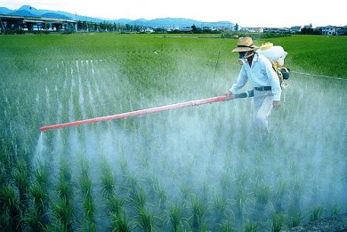 Συλλήψεις για παράνομα φυτοφάρμακα