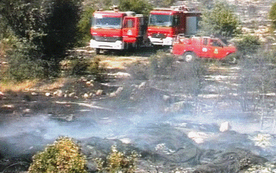 Πυρκαγιά στη Βοιωτία