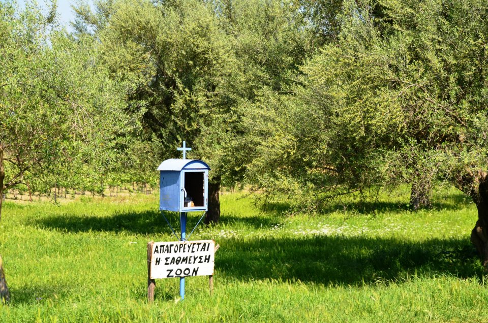 Απαγορεύεται η στάθμευση ζώων!