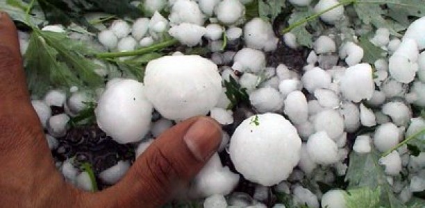 Ο ΕΛΓΑ για τις αποζημιώσεις