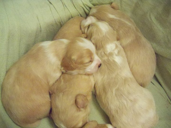 “Σοκαριστικό” θέαμα