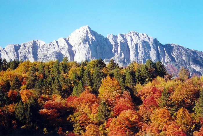 Η Ήπειρος μάγεψε τους Σουηδούς