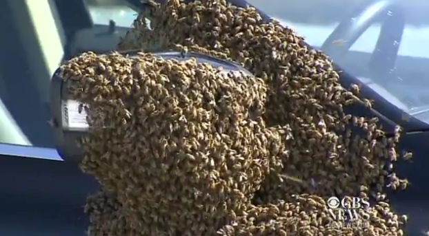 Βούιξε η Νέα Υόρκη