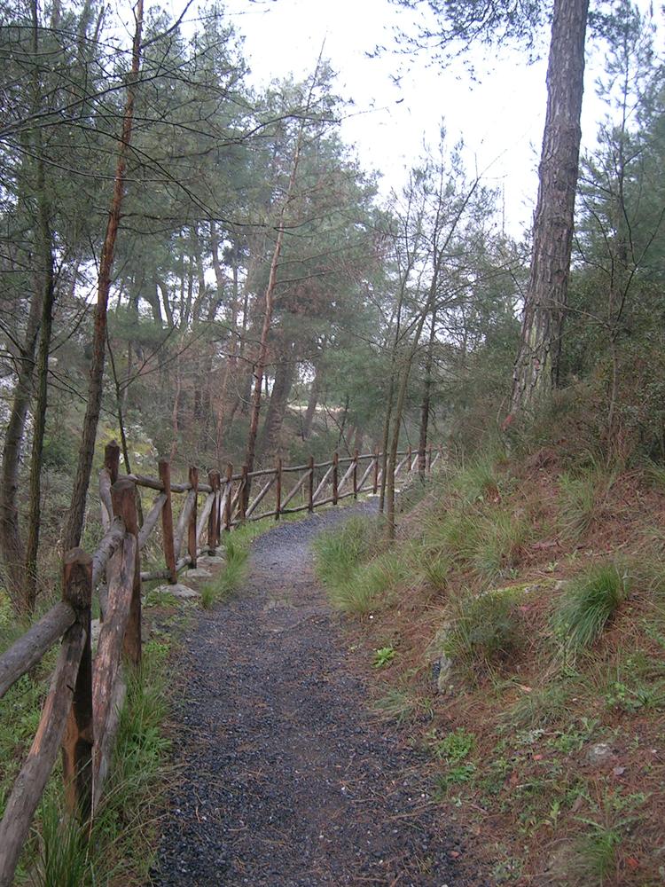 Η κρίση “ξεραίνει” το Σέιχ Σου