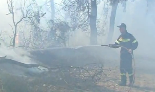 Τώρα – Καίγεται υγροβιότοπος