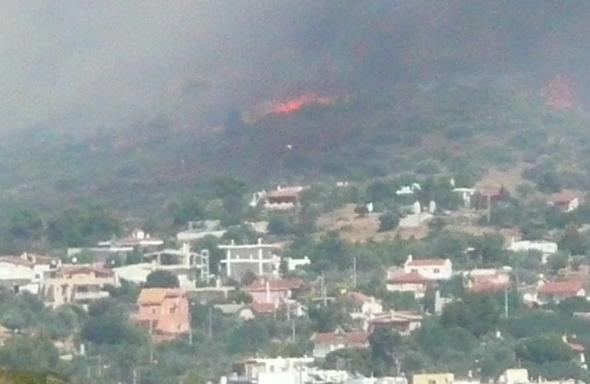 Η μαρτυρία του Δημάρχου