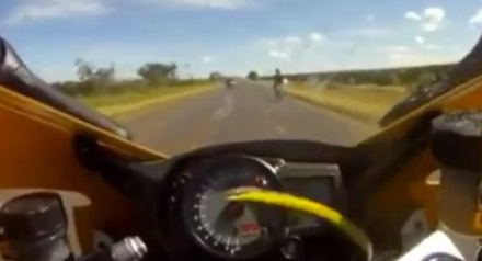 250 χλμ. την ώρα παρέα με φίδι