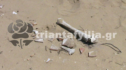 Βρέθηκαν ανθρώπινα οστά