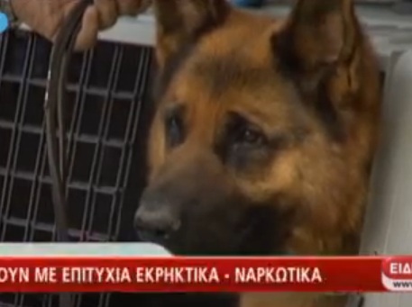 Τετράποδοι αστυνομικοί σε δράση