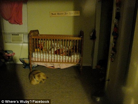 Ζει χάρη στον σκύλο της