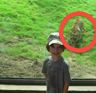 Τα παιδιά και τα λιοντάρια