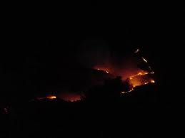 Υπό μερικό έλεγχο η φωτιά στο Αλιβέρι