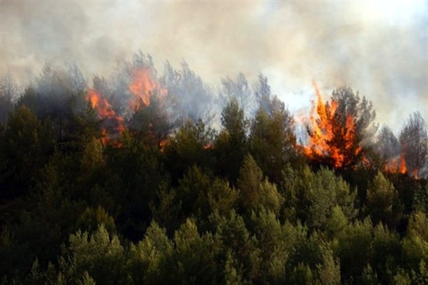 Φωτιά σε δάσος της Μεσσηνίας