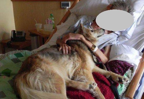 Η φωτογραφία που συγκλονίζει