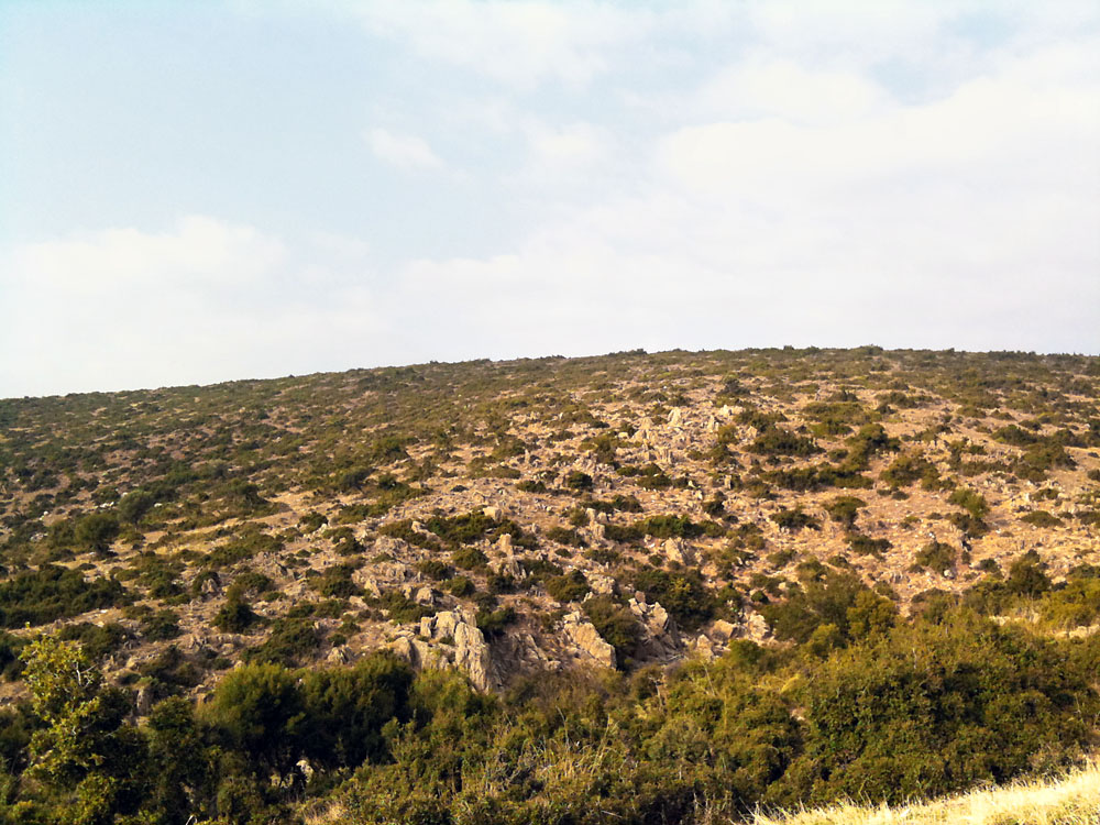 Εγγονός βρήκε τον παππού νεκρό
