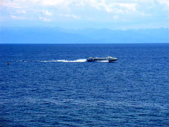 Τώρα-Προσάραξε ιπτάμενο δελφίνι