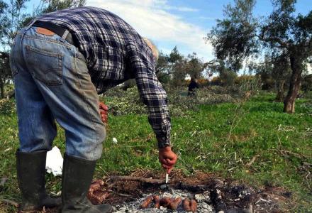 Καταστροφές στην Πιερία