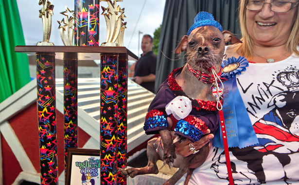 Τα πιο άσχημα σκυλιά του κόσμου