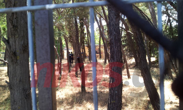 Τώρα -Επιχείρηση της αστυνομίας στο ρέμα Κοκκιναρά