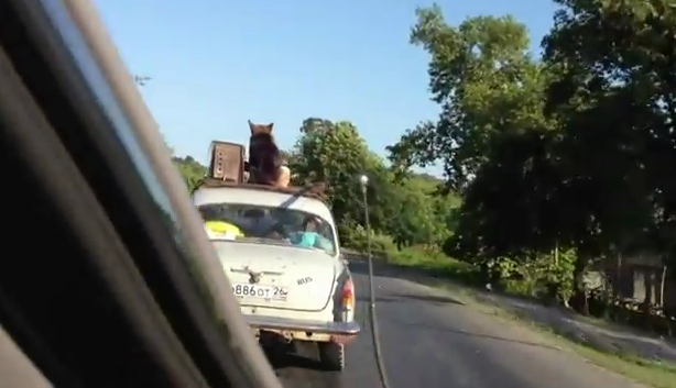 Ο καθένας στον κόσμο του