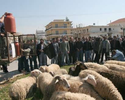 Στους δόμους οι κτηνοτρόφοι