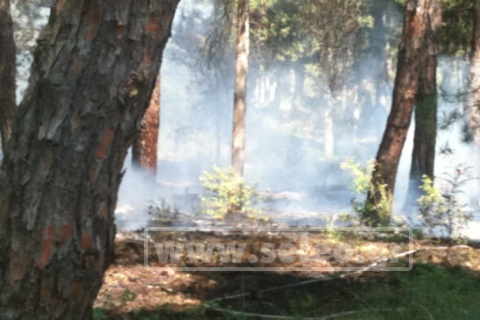 Φωτό- Η Φωτιά στο Παπανικολάου