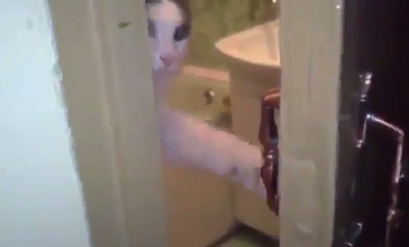 Η γάτα που κλείνει την πόρτα!