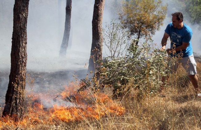 Τώρα -Φωτιά στην Κρήτη