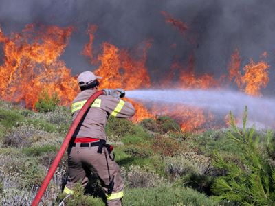 100 στρέμματα έκαψε η φωτιά
