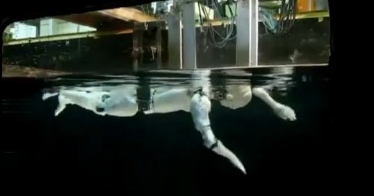 Το πρώτο ρομπότ-κολυμβητής